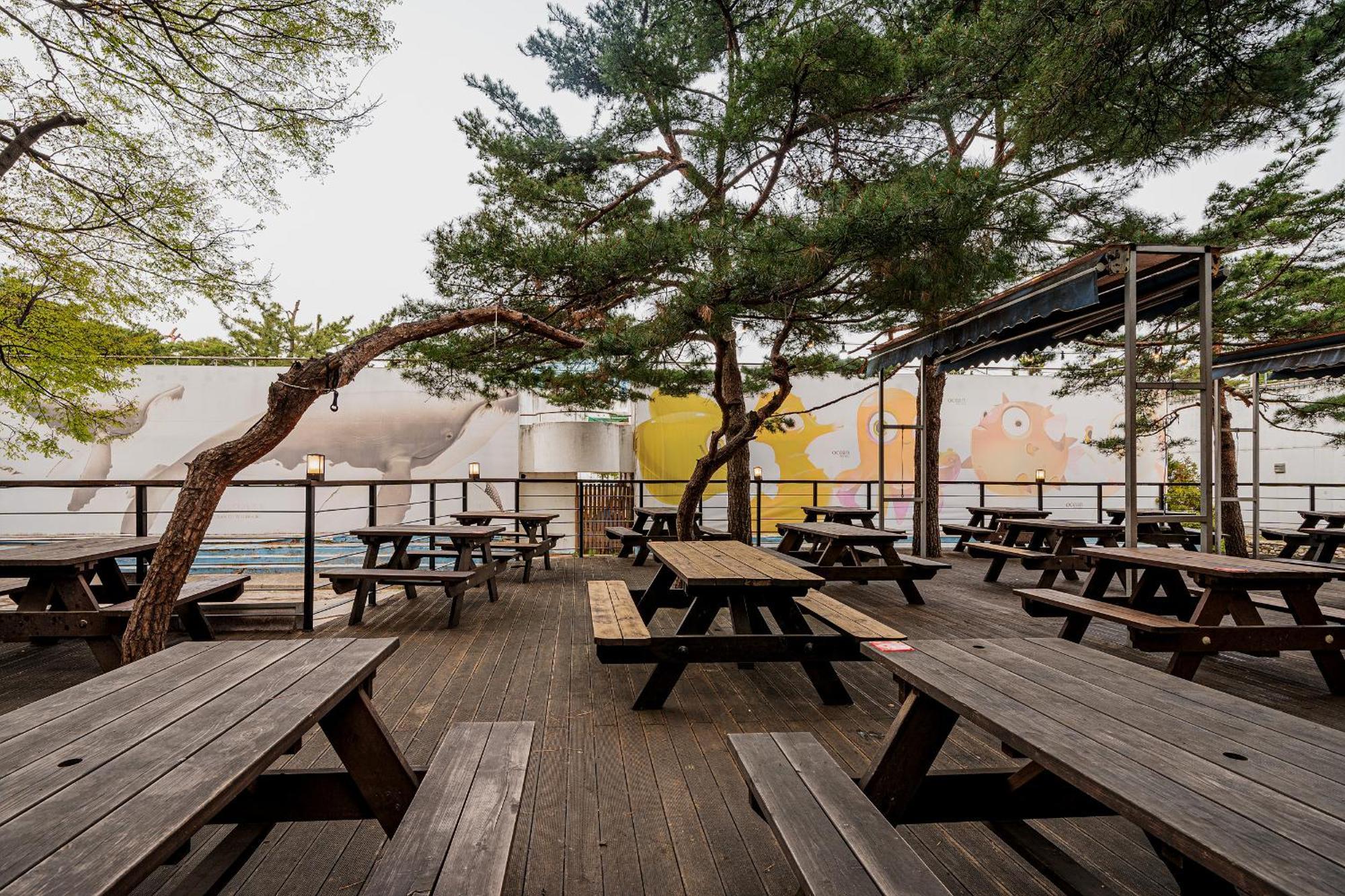 Ocean 2 You Resort Seorak Beach Hotel & Condo Sokcho Exterior photo