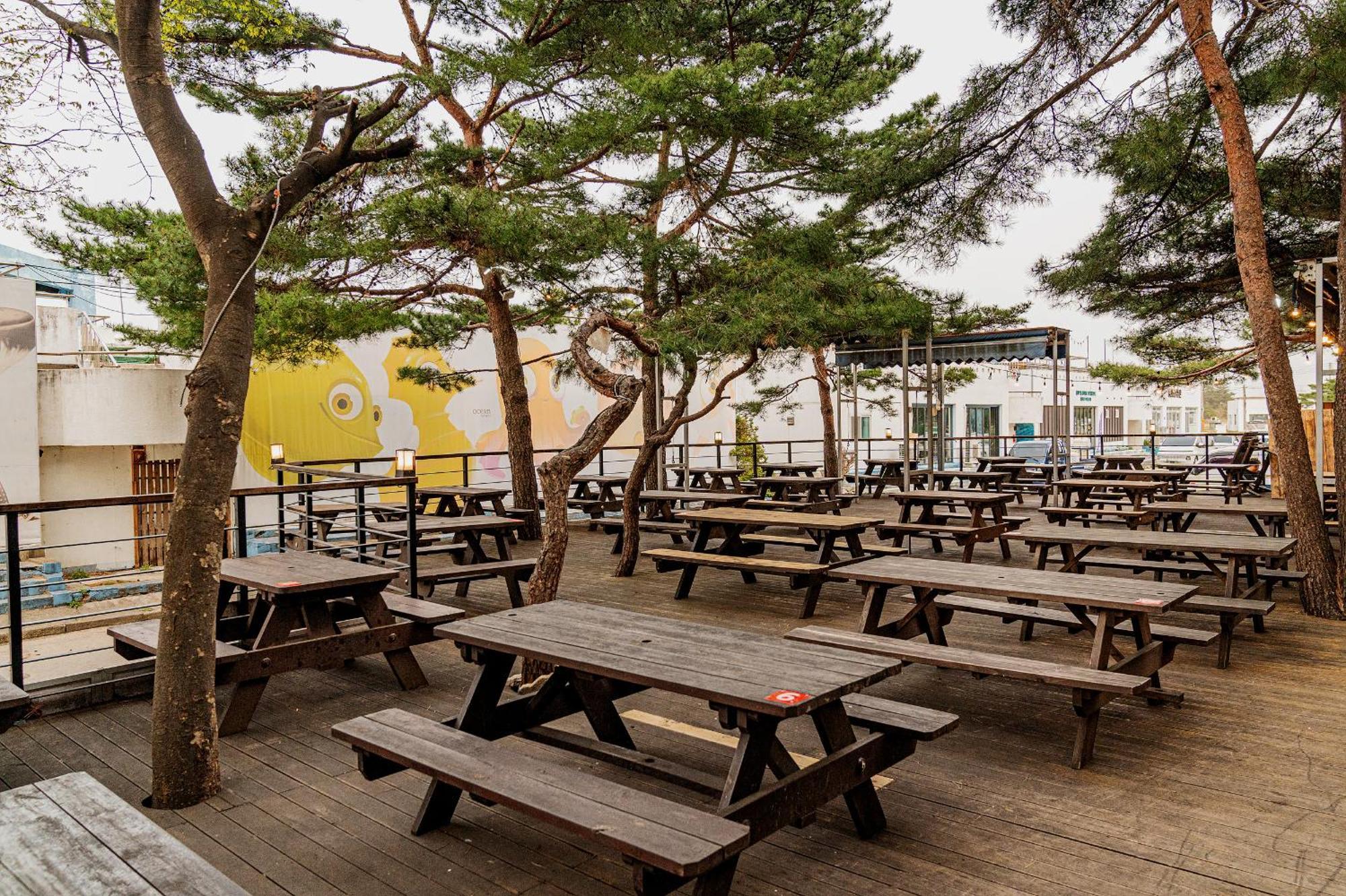 Ocean 2 You Resort Seorak Beach Hotel & Condo Sokcho Exterior photo