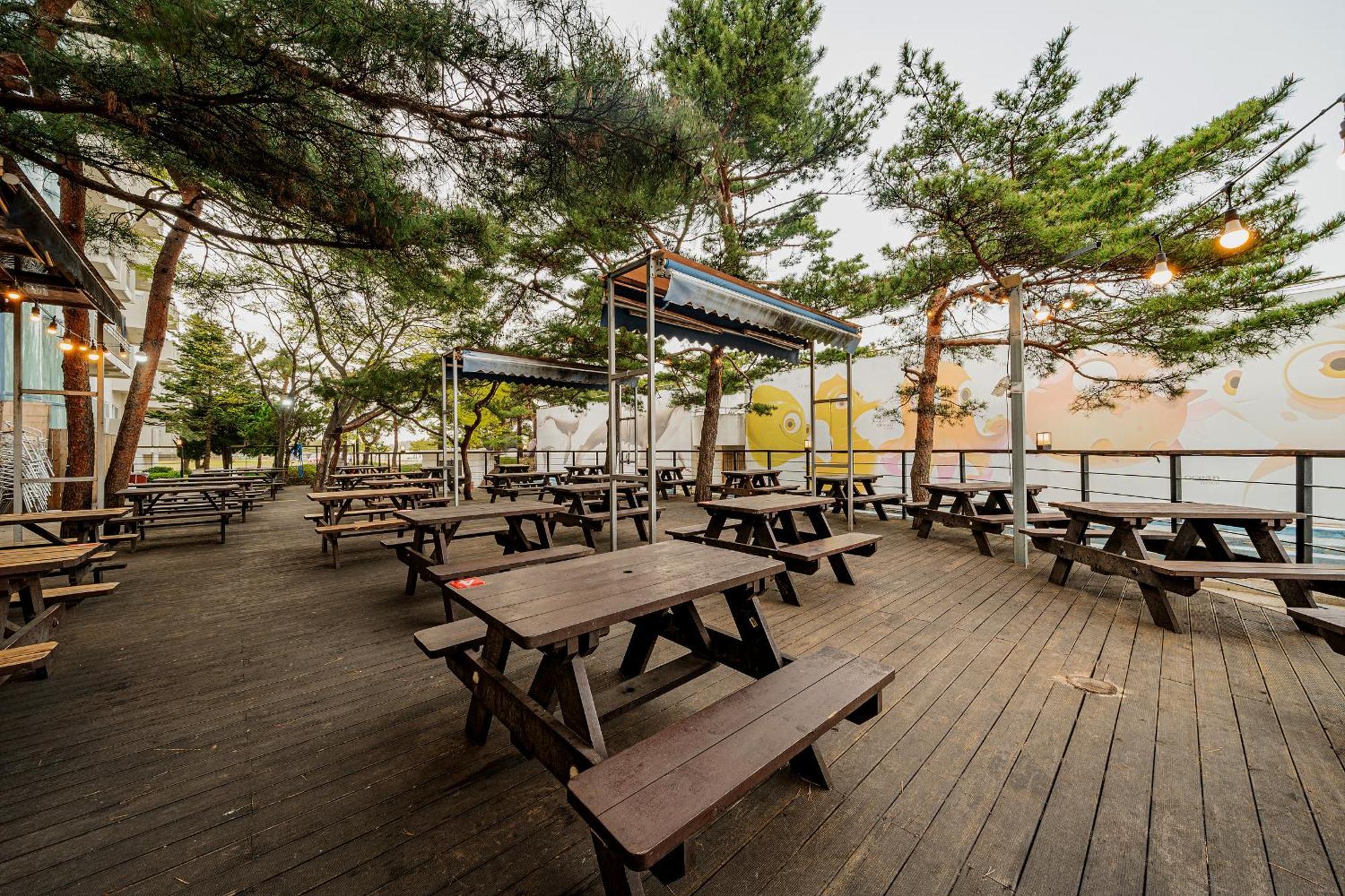 Ocean 2 You Resort Seorak Beach Hotel & Condo Sokcho Exterior photo